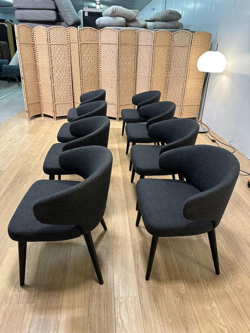 Minotti Esszimmer-Sessel „Little Armchair“ in neuwertigem Zustand