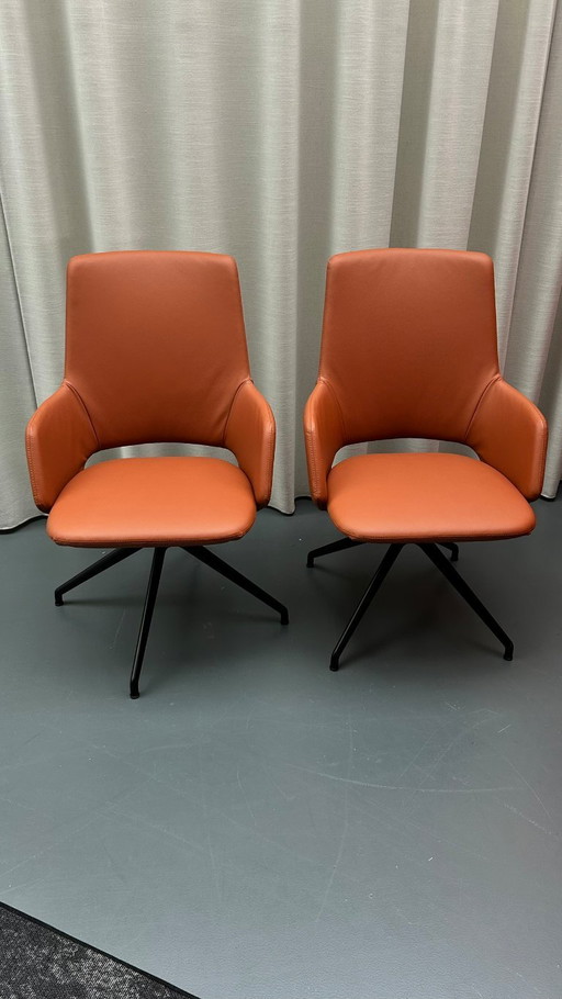 Artifort Jima Highback set di 2 pezzi