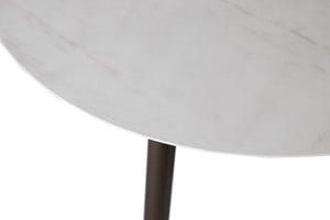 Leolux Rolan coffee table