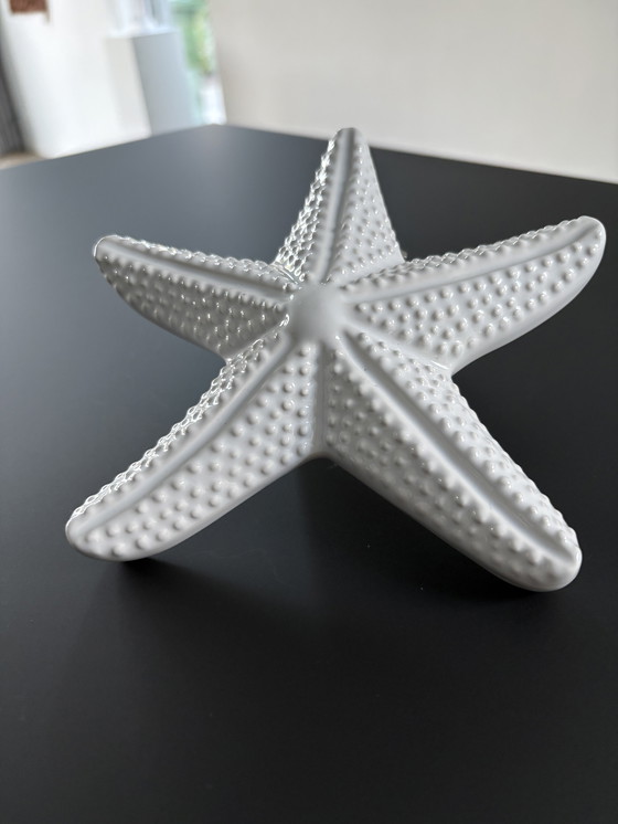 Image 1 of Stella marina decorativa in ceramica bianca smaltata