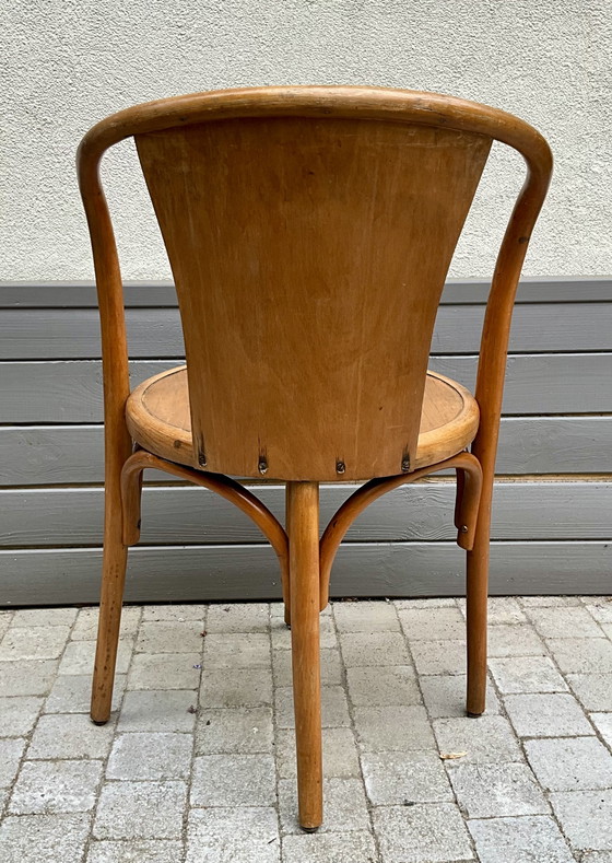 Rara poltrona Fischel in legno curvato - Inizi del XX secolo – Poltrone, Wood (photo 4 of 10)