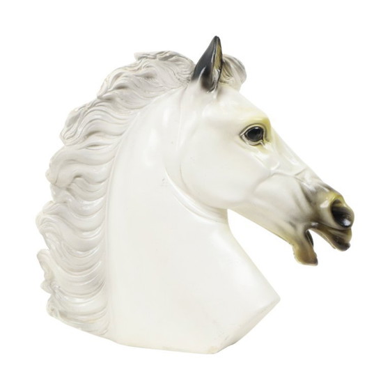 Image 1 of Large Classical Bust Parthenon Horse