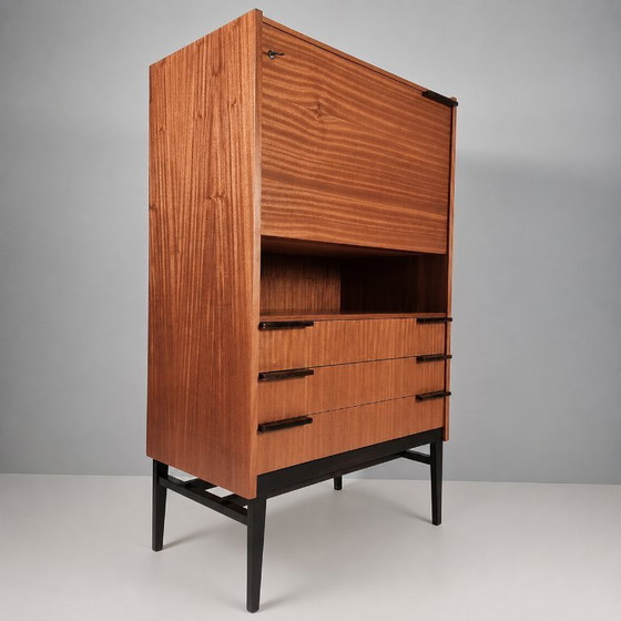 Vintage Cabinet by Francisek Mezulanik, 1960s – Boekenkasten, Wood (photo 8 of 11)