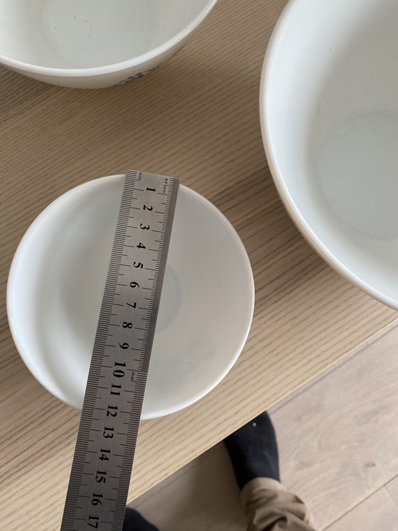 Image 1 of Vintage Arcopal Aster 4-piece Bowl Set