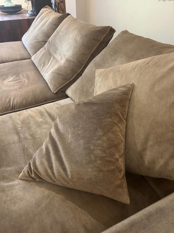 Taupe Samtsofa, Eric Kuster, Modulare Sofas, Stoff, Beige, Modern (Foto 6 von 8)