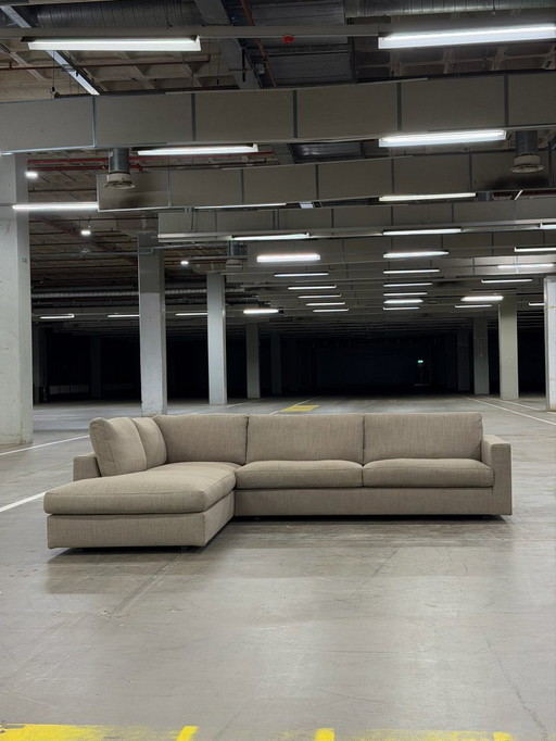 Linteloo Mauro | Tortora