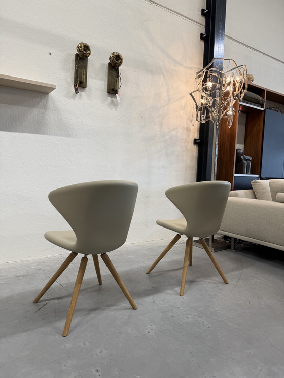 Image 1 of 2 Tonon Concept 902 11 Sedie Soft Touch