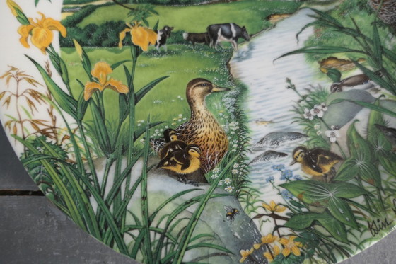 Image 1 of Assiettes décoratives Wedgwood 3 x par Colin Newman 1987