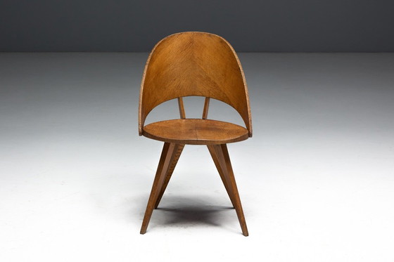 Image 1 of Mid-Century Plywood Dining Chairs, Italy, 1950s