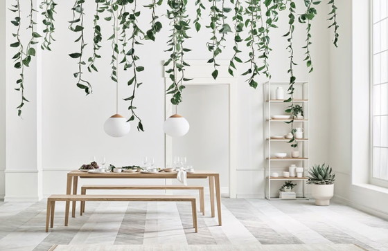 Image 1 of 1x Banque Bolia Graceful