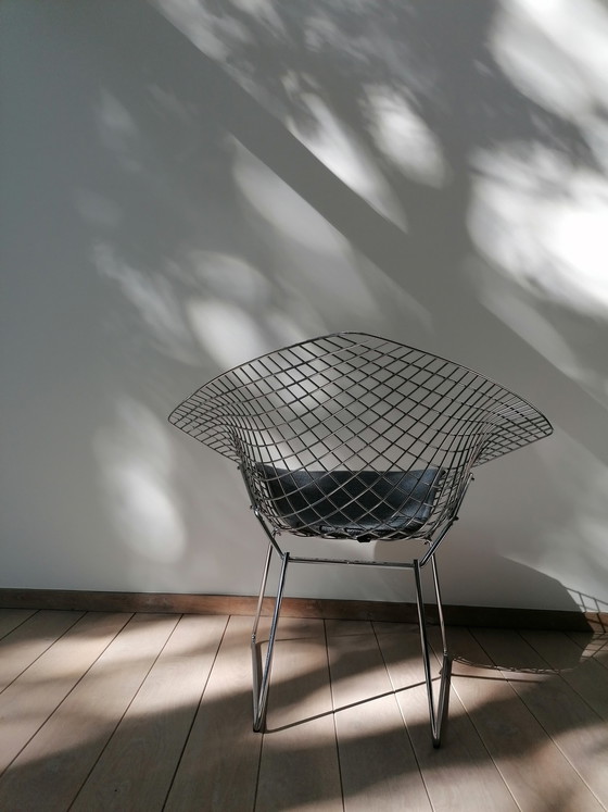 Image 1 of Sedia Diamond Knoll Bertoia