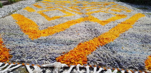 Hand-knotted Berber wool rug 243x160cm
