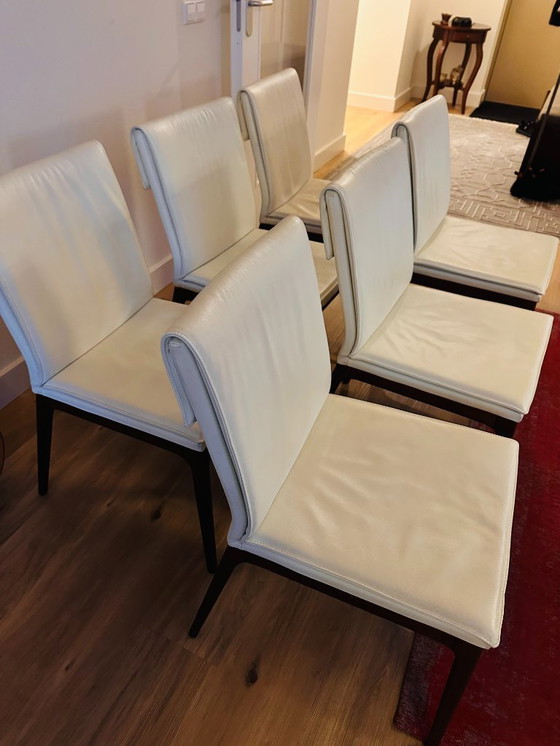 Image 1 of 6x Cattelan Italia Leather Dining Chairs - Arcadia