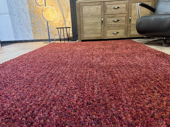 Image 1 of Brink En Campman Dots