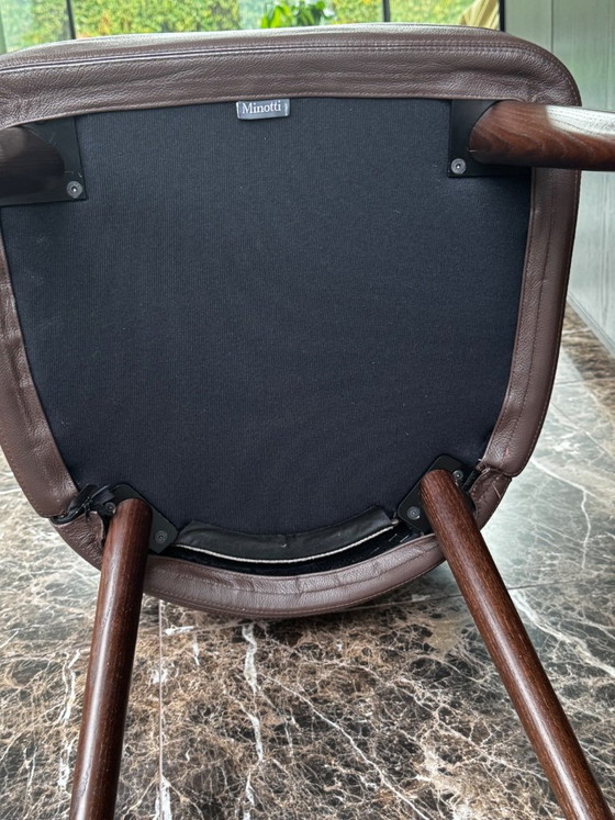 Minotti Astor silla de comedor, Sillas de comedor, Cuero, Madera, Marrón, Modern (foto 3 de 5)