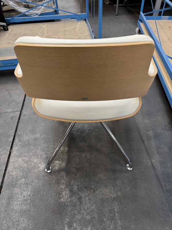 Image 1 of 6x Thonet stoelen