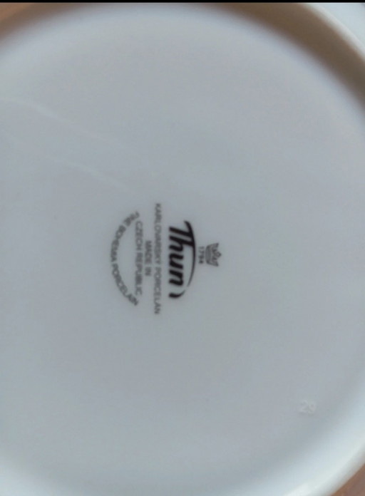 Complete 42-piece dinner service, brand new - Bohemian porcelain, Thun 1794 – tafelwaar (photo 2 of 11)