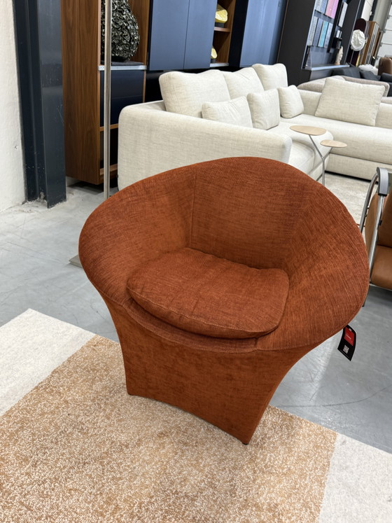 Image 1 of Label van den Berg Fauteuil Ace Terra
