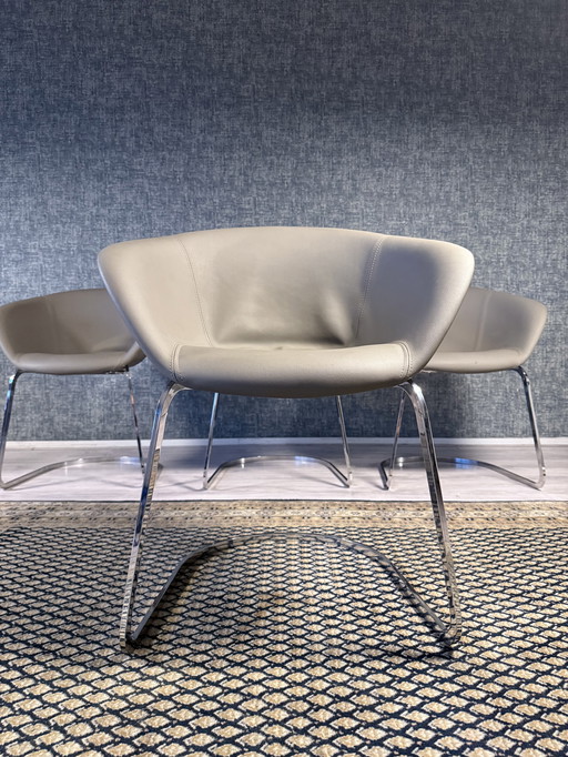 4x Chaise Arper Duna Design by Lievore Altherr Molina, ca2014