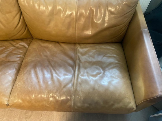 Image 1 of Divano Montis Axel 2,5 posti in pelle