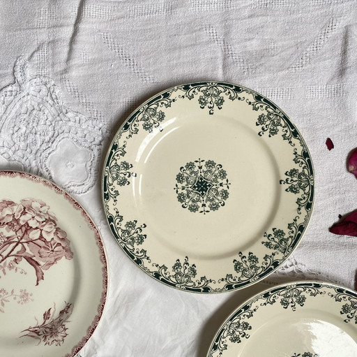 Set of 6 Dessert Plates Terre de Fer Sarreguemines Mignon Eglantine Choisy le Roi Provençal