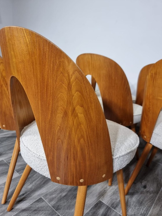Image 1 of Dining Chairs from Antonin Suman, set of 12