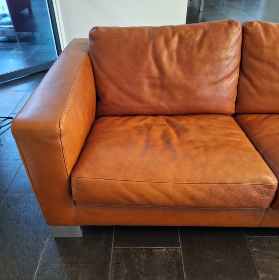 Image 1 of Classic Molinari leather sofa