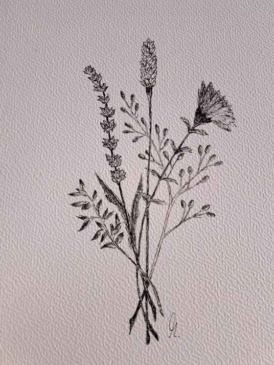 Image 1 of Illustrazione Botanica Bouquet Selvatico | Cornice Marrone Scuro