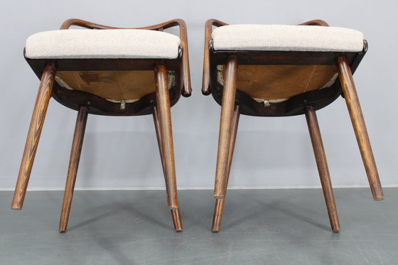 Image 1 of 1960 Antonin Suman Ensemble de six chaises de salle à manger en hêtre, restaurées