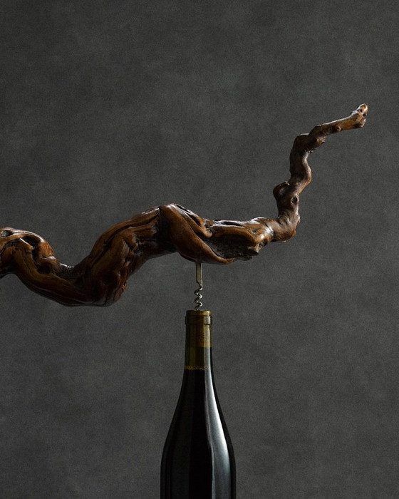 Image 1 of large corkscrew in vine root