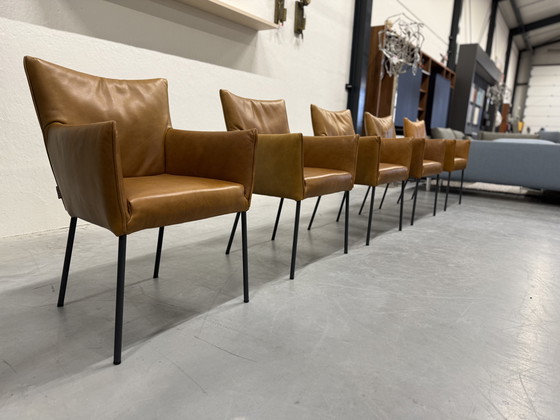 Image 1 of Sedia da pranzo Mali Vandenberg 5 Label Bovino Natural