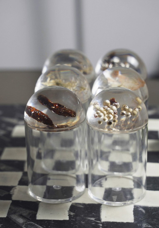 French Plexiglas Vintage Spice Container Jars – Set of 6 Preserved Herb Cylinders