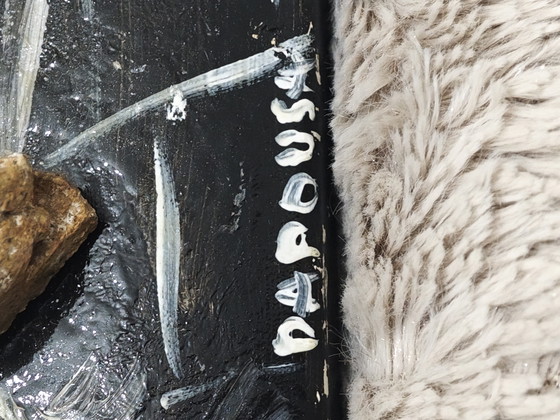 Image 1 of bassorilievo di Guernica