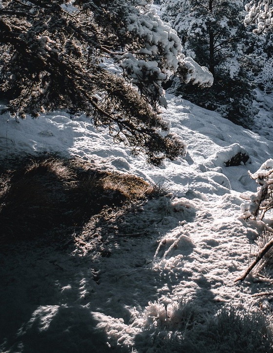 Image 1 of Fotografía de paisajes de montaña / A todo color / Impresión profesional