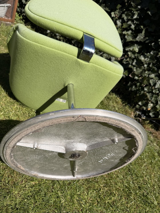 Image 1 of Little tulip (green)