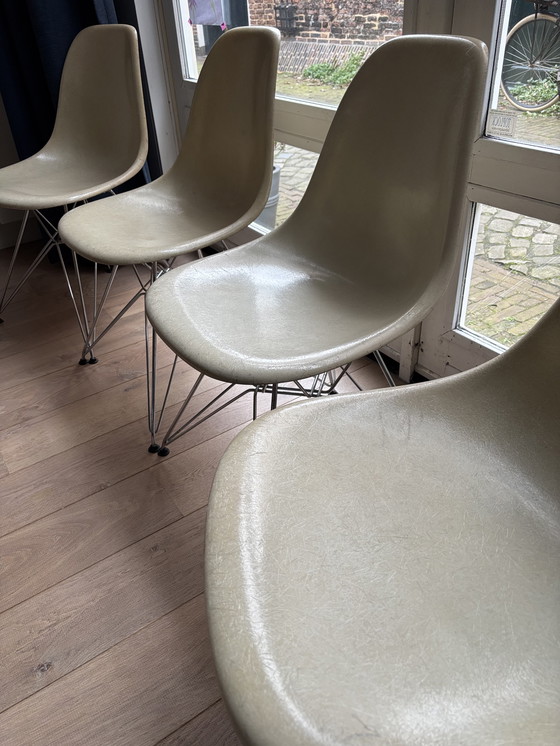 Image 1 of 4 sedie laterali vintage Eames Miller DSR in fibra di vetro – pergamena