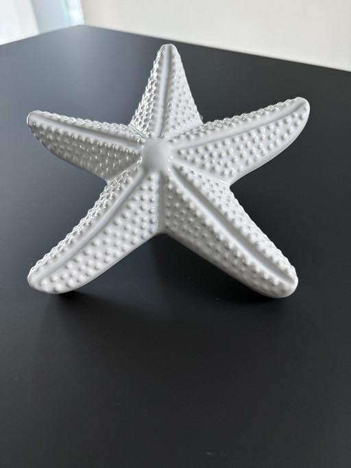 Stella marina decorativa in ceramica bianca smaltata
