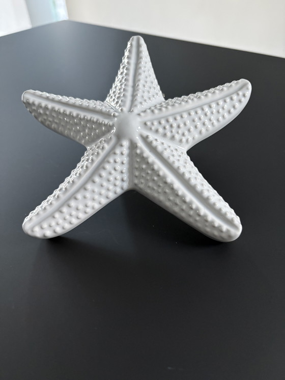 Image 1 of Stella marina decorativa in ceramica bianca smaltata