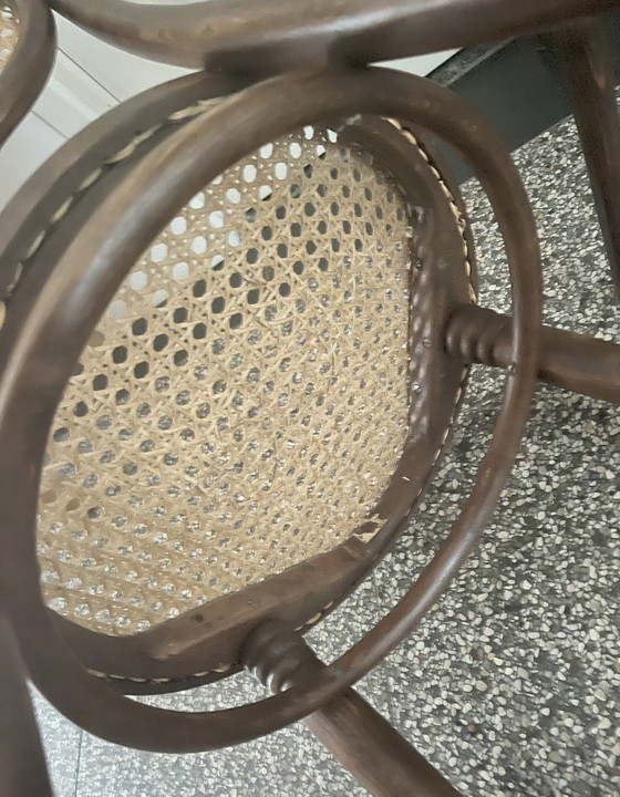 Image 1 of Juego de sillas de comedor Thonet Radomsko