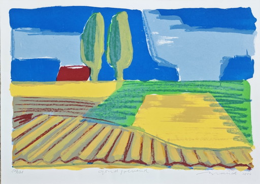 Ingelijste zeefdruk Willem Brauck (1946-2014) "Goud Golvend" 2000 51x71cm