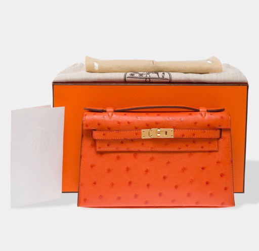 Sac HERMES Kelly Mini en Cuirs exotiques Orange - 103364