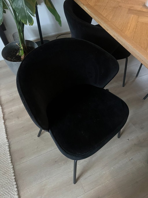 4 sillas de comedor Pure Home – eetkamerstoelen, Metal, Velvet (photo 2 of 5)