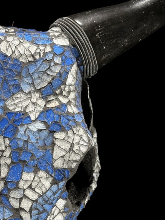 Image 1 of Véritable crâne de vache indonésien avec mosaïque 