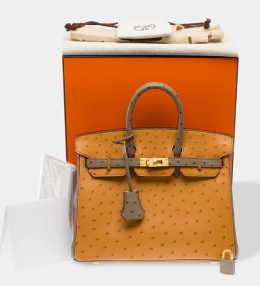 Sac HERMES Birkin 25 en Cuirs exotiques Marron - 103410