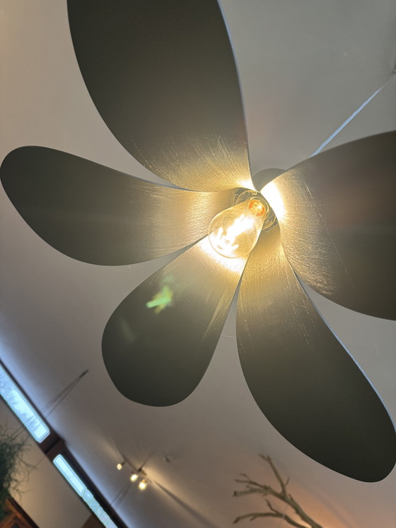 Image 1 of Umage Jazz plafondlamp Zwart eiken