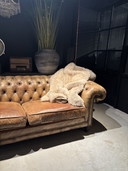 Antique Chesterfield Sofa cognac brown leather