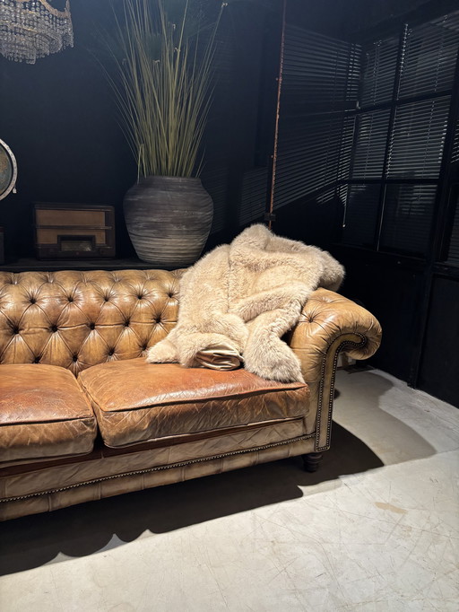 Antique Chesterfield Sofa cognac brown leather