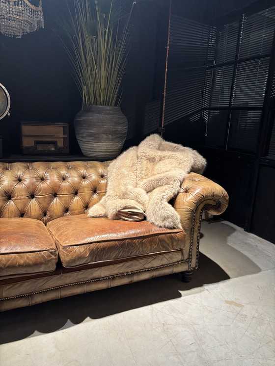 Image 1 of Antique Chesterfield Sofa cognac brown leather