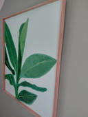 "REACHING FOR LIGHT" Gallery Suncorner