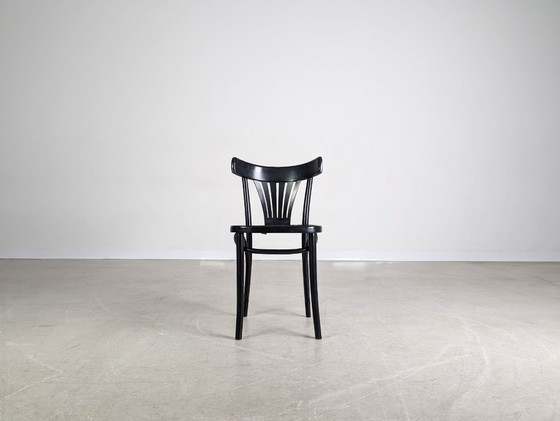 Image 1 of Silla original de mediados de siglo ZPM Radomsko café casa silla de madera curvada